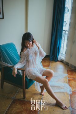 第二十条
